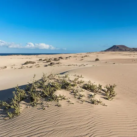 Appartement Wifi Relax Tenis Y Piscina