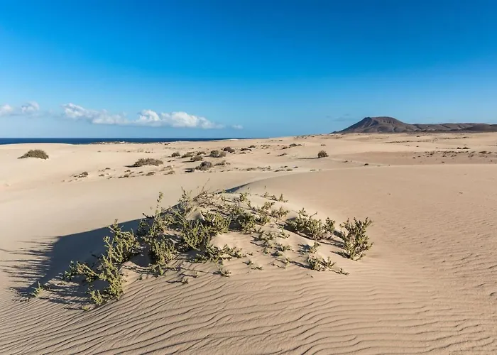 Apartamento Wifi Relax Tenis Y Piscina