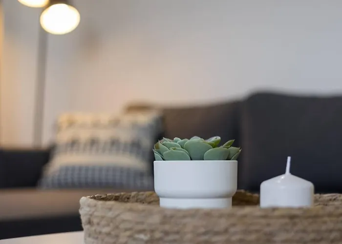 Wifi Relax Tenis Y Piscina